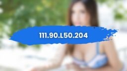 111.90.l50.204