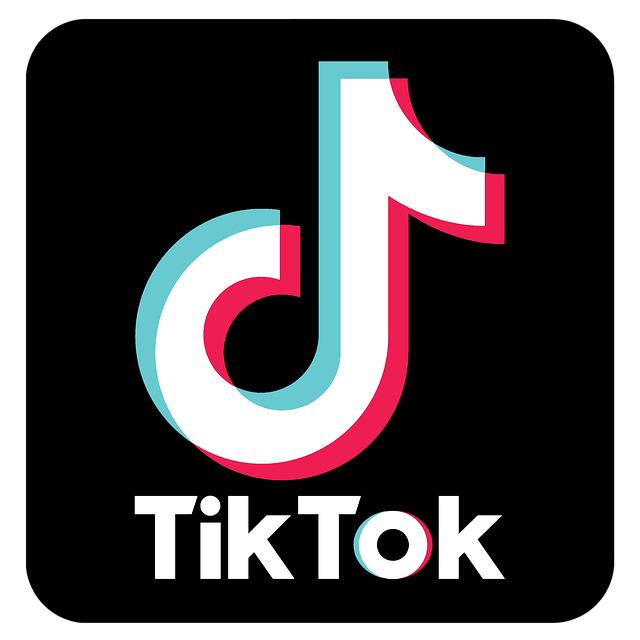 Download video Tik Tok