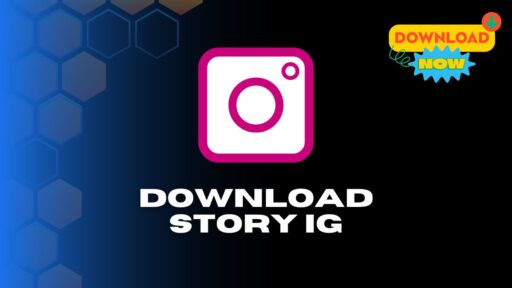 Download Story IG