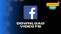 Download Video FB